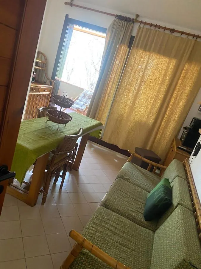 House Pinus Village Fort Village
