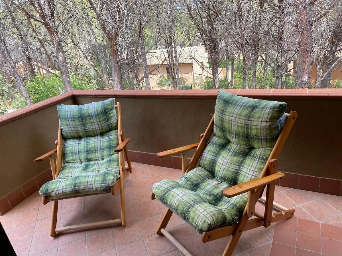 House Pinus Village Fort Village Holiday home